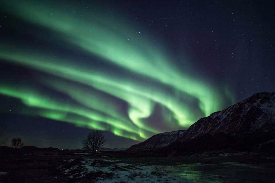 Midnattsolveien 3158,Sommarhusstrand Laukvik Lofoten Norway Buitenkant foto