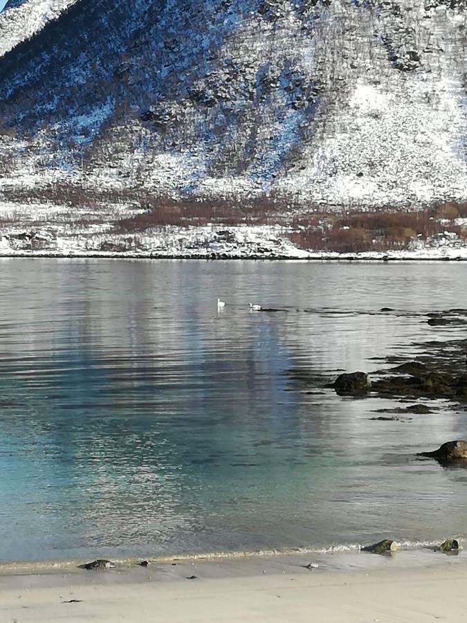 Midnattsolveien 3158,Sommarhusstrand Laukvik Lofoten Norway Buitenkant foto